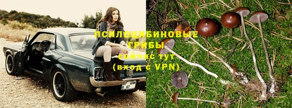 ALPHA PVP Алексин