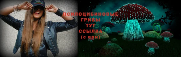 крисы Алексеевка